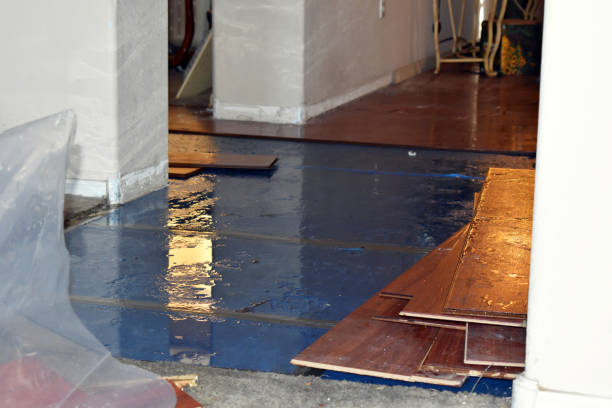 Professional Sewage Cleanup technician working in Clayton, IN